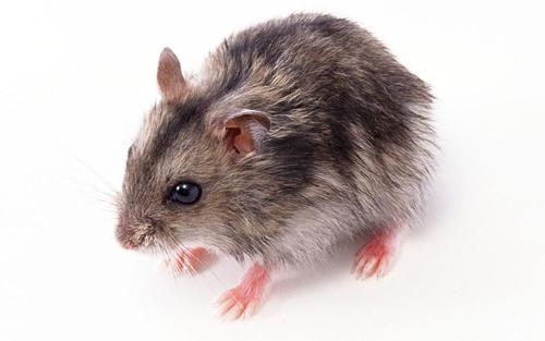 1591348144470036.jpg RQ8uf14EOclCBD02AGJphFWkXhJUlntK4giKJqHfsFGlC1553491030862.jpg