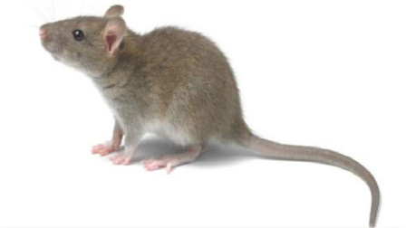 1591434579277641.jpg 054101015CC2A5478B7475919E89CA6D.jpg