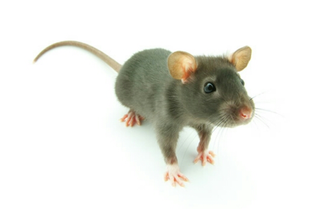 1592806974727538.jpg 1592806974727538.jpg