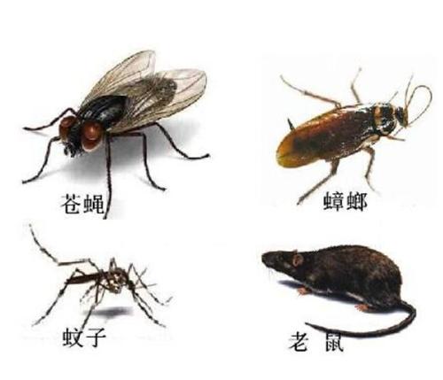 1595641301141574.jpg 1.jpg