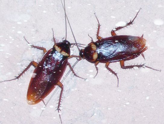 1595984912131122.jpg 1.jpg