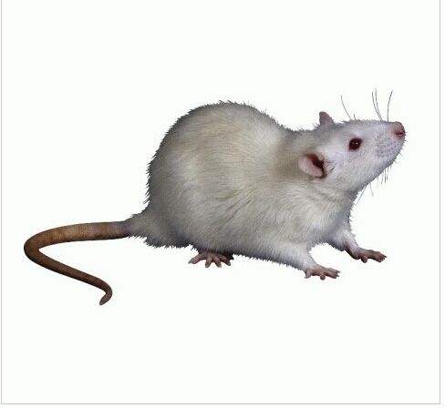 1596156390255479.jpg 1596156390255479.jpg