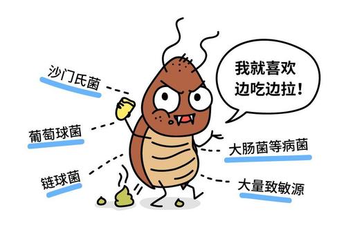 灭蟑螂 灭蟑螂