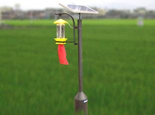 除虫公司 除虫公司