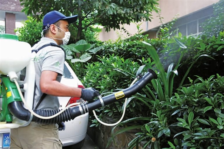 上海除虫公司 上海除虫公司