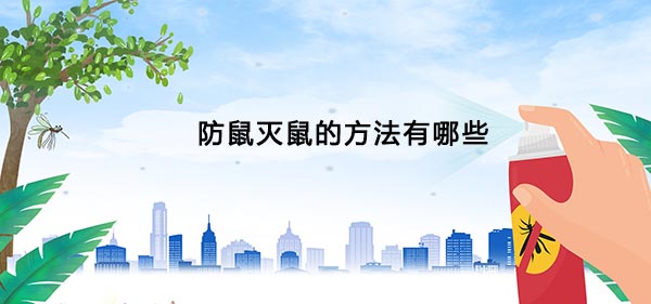 1615862360971356.jpg 50.jpg