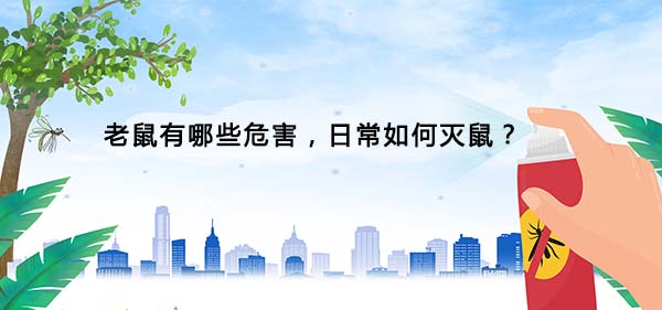 1616575741130347.jpg 58.jpg