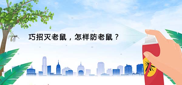 1616730577101456.jpg 60.jpg