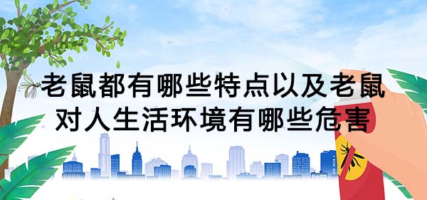 1617330938106649.jpg 68.jpg