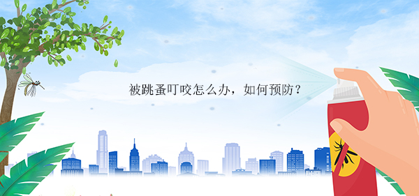 1619078027135494.jpg 2.jpg