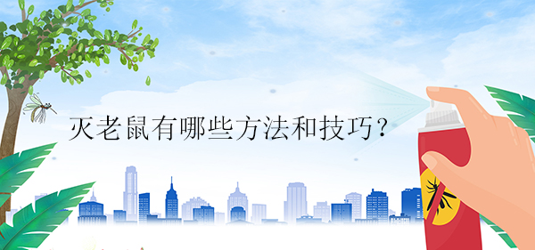 1620443570474769.jpg 2.jpg